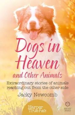 Dogs in Heaven: and Other Animals: Extraordinary stories of animals reaching out from the other side, Jacky Newcomb