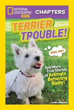 National Geographic Kids Chapters: Terrier Trouble!, Candice Ransom