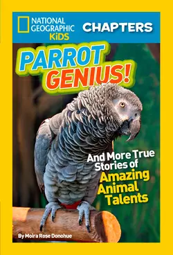 National Geographic Kids Chapters: Parrot Genius: And More True Stories of Amazing Animal Talents, Moira Donohue