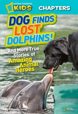 National Geographic Kids Chapters: Dog Finds Lost Dolphins: And More True Stories of Amazing Animal Heroes, Elizabeth Carney