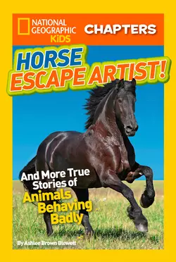 National Geographic Kids Chapters: Horse Escape Artist: And More True Stories of Animals Behaving Badly, Ashlee Blewett