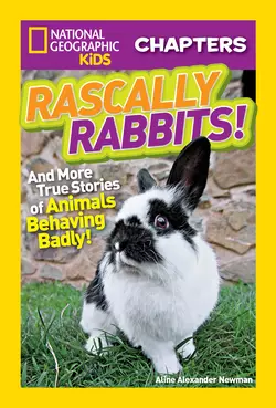 National Geographic Kids Chapters: Rascally Rabbits!: And More True Stories of Animals Behaving Badly, Aline Newman