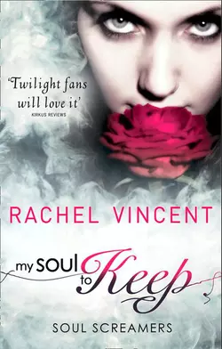 My Soul To Keep, Rachel Vincent