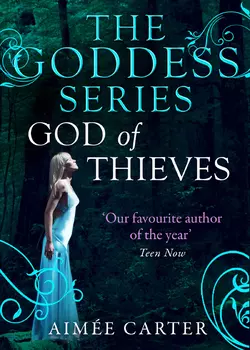 God of Thieves, Aimee Carter