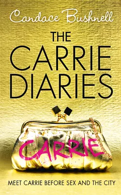 The Carrie Diaries, Кэндес Бушнелл