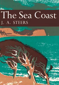 The Sea Coast, J. Steers