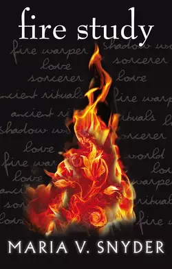 Fire Study, Maria Snyder