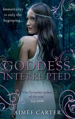 Goddess Interrupted, Aimee Carter