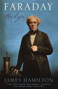 Faraday: The Life, James Hamilton