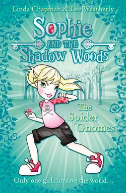 The Spider Gnomes, Linda Chapman