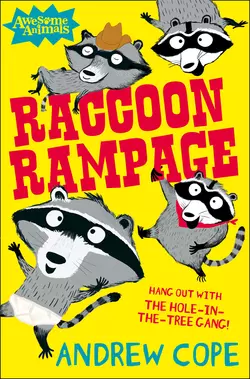 Raccoon Rampage, Nadia Shireen