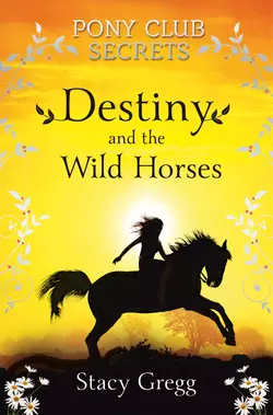 Destiny and the Wild Horses Stacy Gregg