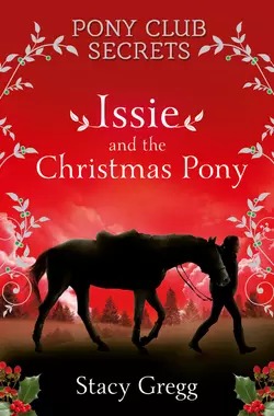 Issie and the Christmas Pony: Christmas Special, Stacy Gregg