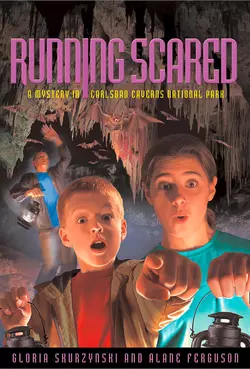 Mysteries in Our National Parks: Running Scared: A Mystery in Carlsbad Caverns National Park, Gloria Skurzynski