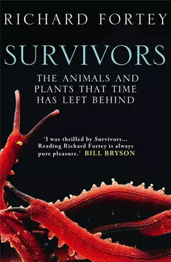 Survivors: The Animals and Plants that Time has Left Behind, Richard Fortey