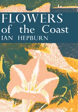 Flowers of the Coast, Ian Hepburn