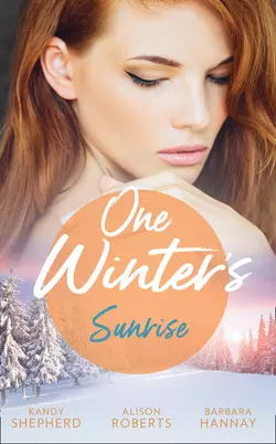 One Winter′s Sunrise: Gift-Wrapped in Her Wedding Dress Alison Roberts и Barbara Hannay