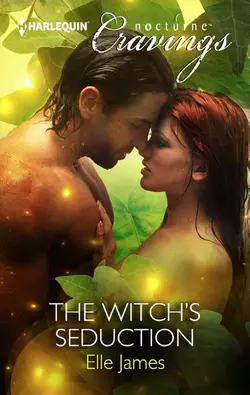 The Witch′s Seduction, Elle James