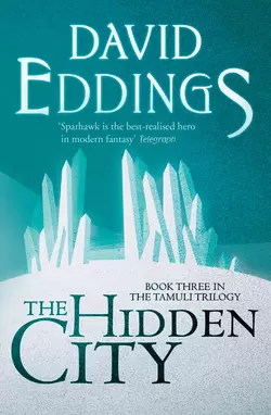 The Hidden City David Eddings