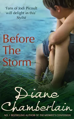 Before the Storm, Diane Chamberlain