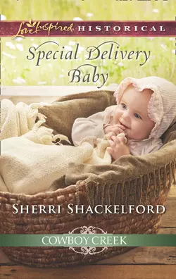 Special Delivery Baby, Sherri Shackelford