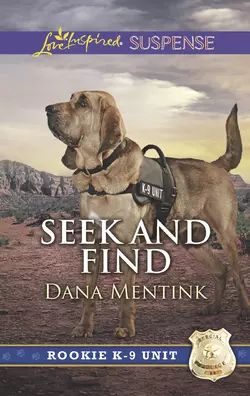 Seek And Find, Dana Mentink