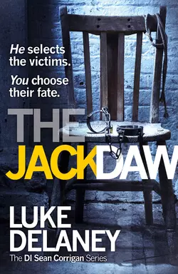 The Jackdaw Luke Delaney