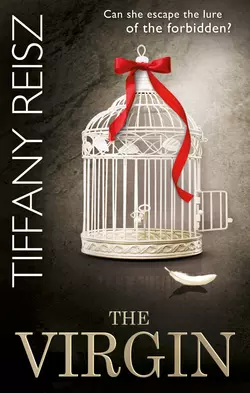 The Virgin Tiffany Reisz