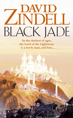 Black Jade, David Zindell