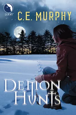 Demon Hunts, C.E. Murphy