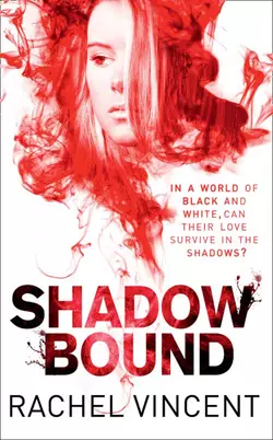 Shadow Bound, Rachel Vincent