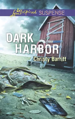 Dark Harbor, Christy Barritt