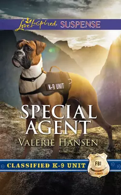 Special Agent, Valerie Hansen