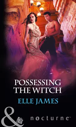 Possessing the Witch, Elle James