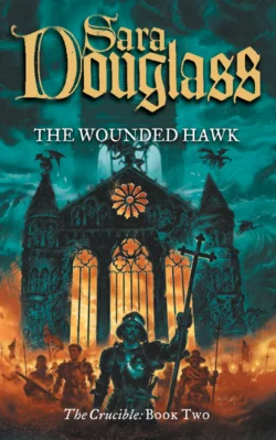 The Wounded Hawk, Sara Douglass