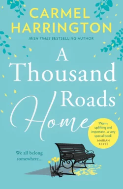 A Thousand Roads Home: ‘A weepy but important book’ Cecelia Ahern, Carmel Harrington