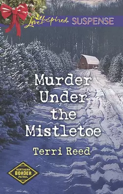 Murder Under The Mistletoe, Terri Reed