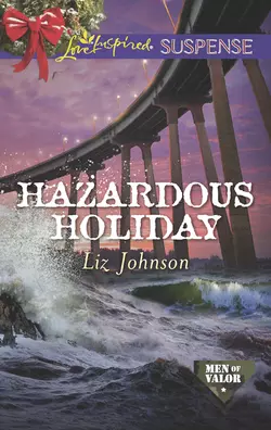 Hazardous Holiday Liz Johnson