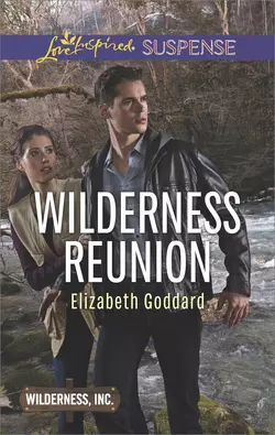 Wilderness Reunion, Elizabeth Goddard