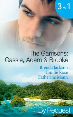 The Garrisons: Cassie, Adam & Brooke: Stranded with the Tempting Stranger, Brenda Jackson