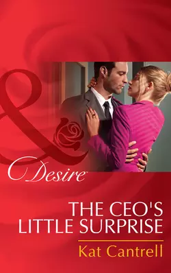 The Ceo′s Little Surprise, Kat Cantrell