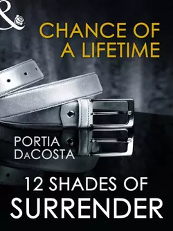 Chance of a Lifetime Portia Costa