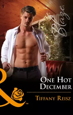 One Hot December Tiffany Reisz