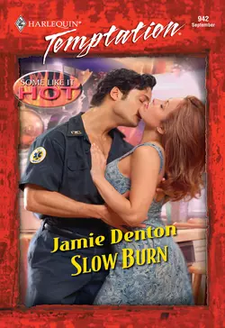 Slow Burn Jamie Denton