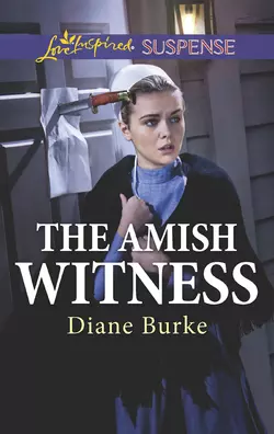 The Amish Witness Diane Burke