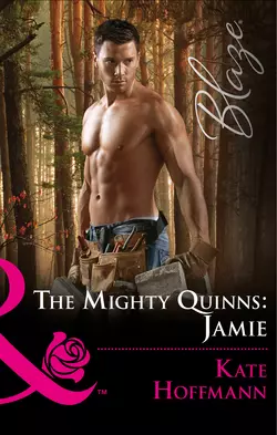 The Mighty Quinns: Jamie, Kate Hoffmann