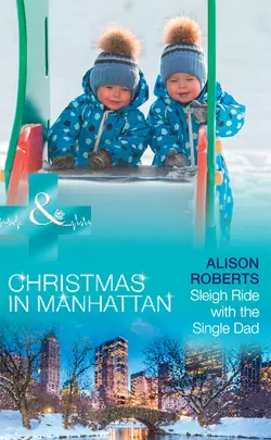 Sleigh Ride With The Single Dad Alison Roberts