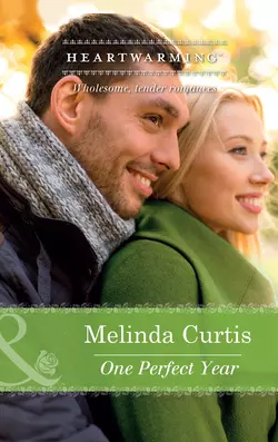 One Perfect Year, Melinda Curtis