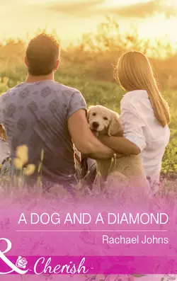 A Dog And A Diamond Rachael Johns