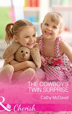 The Cowboy′s Twin Surprise Cathy McDavid